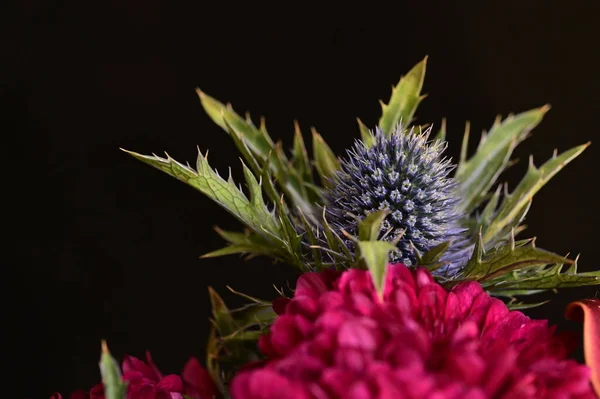 Buketteki Güzel Çiçekler Yakın Çekim — Stok fotoğraf