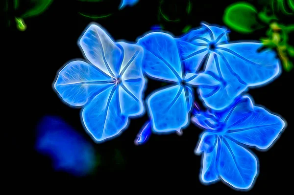 Closeup View Beautiful Blue Flowers Garden — Stockfoto