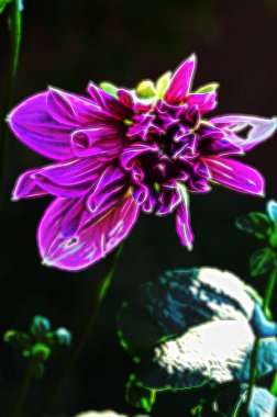 Bahçedeki güzel pembe çiçeklerin yakın görüntüsü