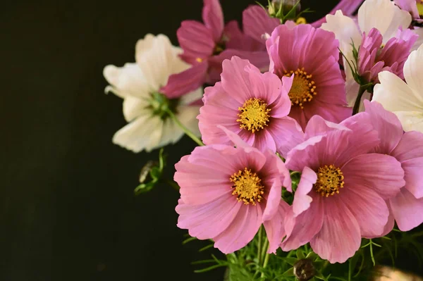 Flores Bonitas Buquê Close — Fotografia de Stock