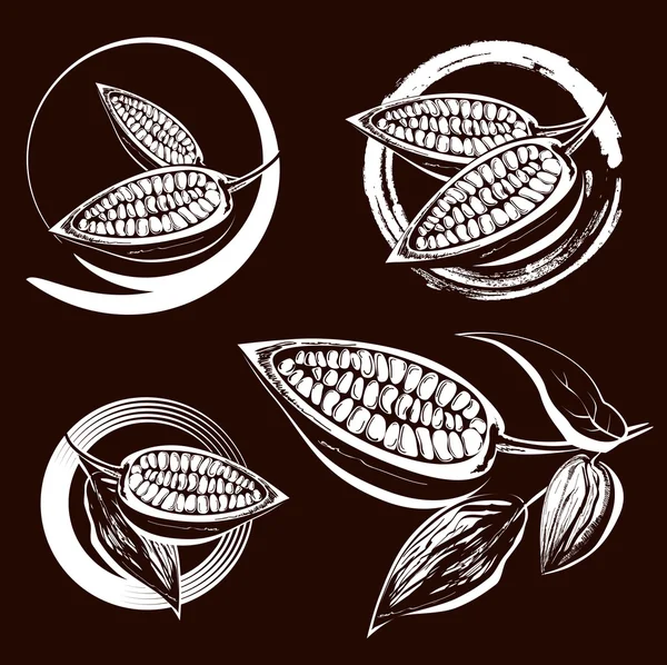 Granos de cacao — Archivo Imágenes Vectoriales