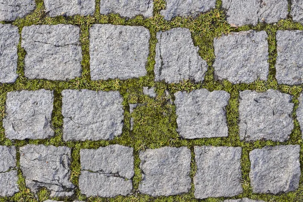 Square stones texture with grass — Stock Photo, Image