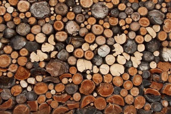 Pile of chopped fire wood — Stock Photo, Image