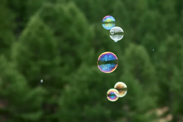 Bolhas de sabão conceitual — Fotografia de Stock