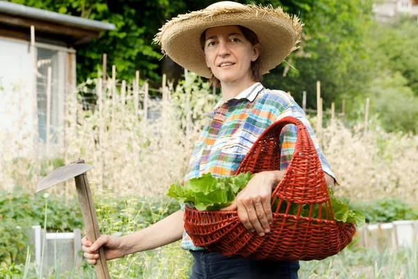 Girl picking the fruit from their country — Stock Photo, Image