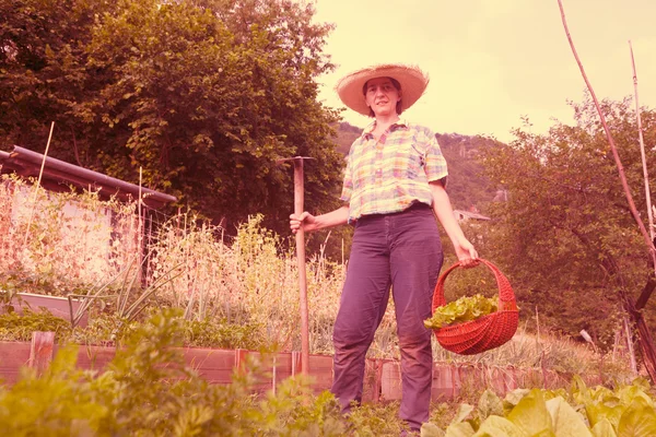 Flicka plocka frukten från sitt land — Stockfoto