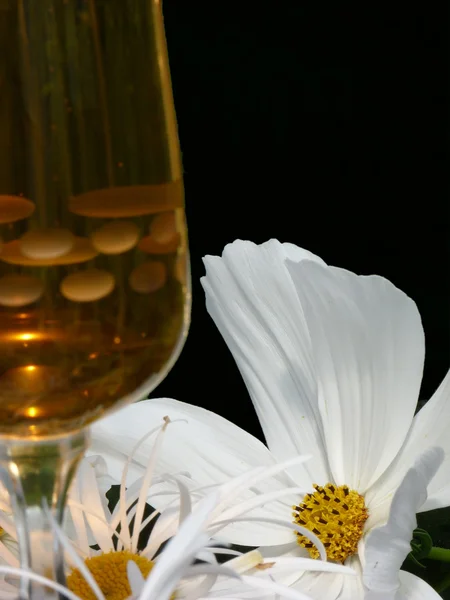 White cosmos with glass of wine in foreground — Stock Photo, Image