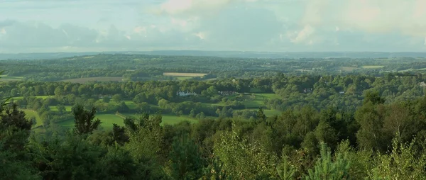 Panoramic From The Ashdown Forest — Fotografie, imagine de stoc