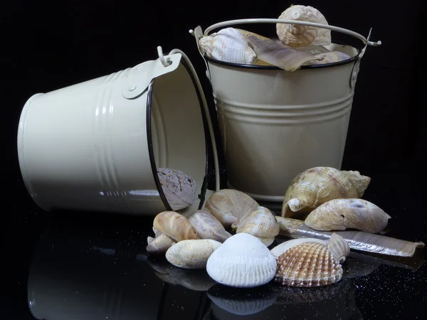 Seashells siyah bir zemin üzerine bir kova — Stok fotoğraf