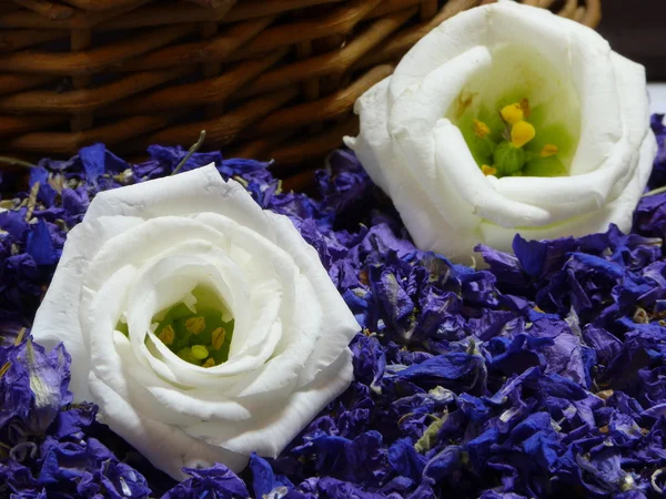 Larkspur Petal Confetti em uma cesta e derramamento para fora — Fotografia de Stock