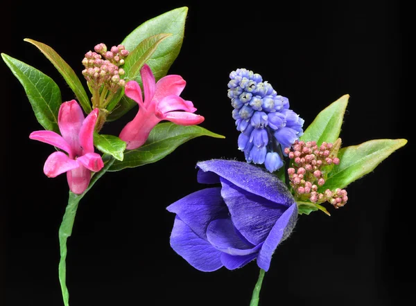 Ein Knopfloch aus Muscari, Hyazinthenblüten und Anemone — Stockfoto