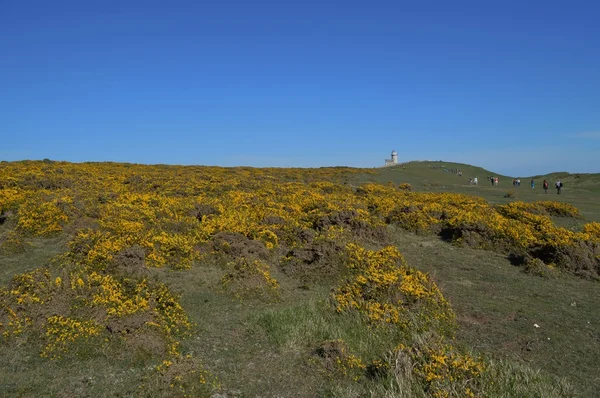 On Top of Beachy Head and the Belle Tout Laithouse — стоковое фото