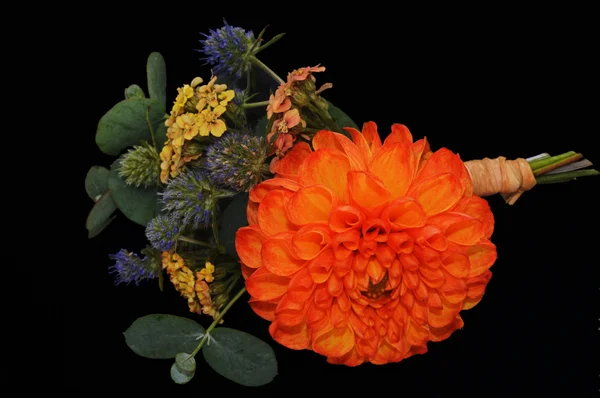 Flor na lapela — Fotografia de Stock