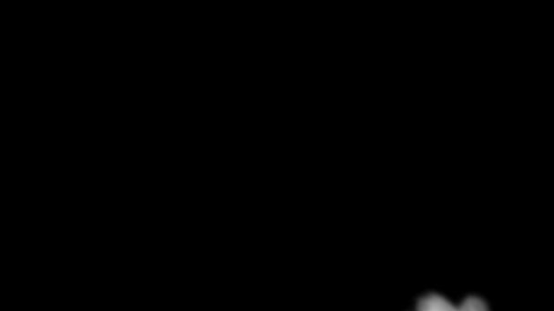 Abstraktní bílý kouř ve zpomaleném filmu na černém pozadí — Stock video