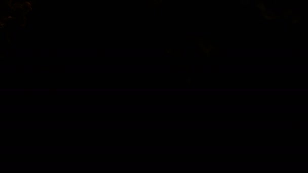 Siyah bir arkaplanda ateşli bir patlama dalgasının yavaş hareketi — Stok video