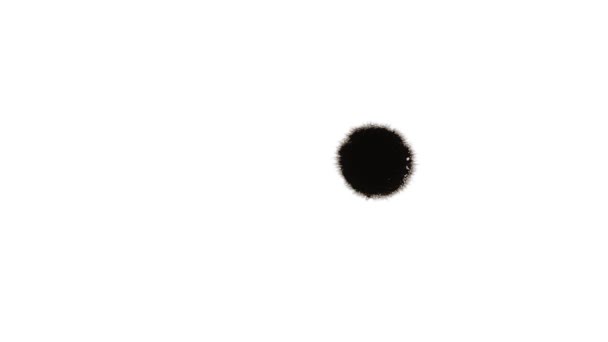 Падіння крапель чорнила на білому тлі — стокове відео