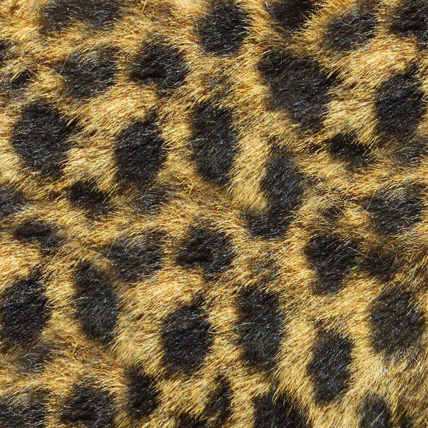 Leopard texture and pattern for background.Texture or background — Foto Stock