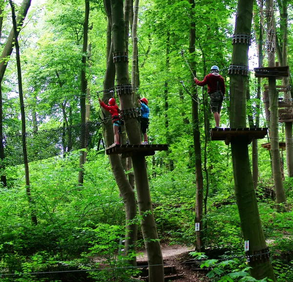 Climbing Park 1 — Stock Photo, Image