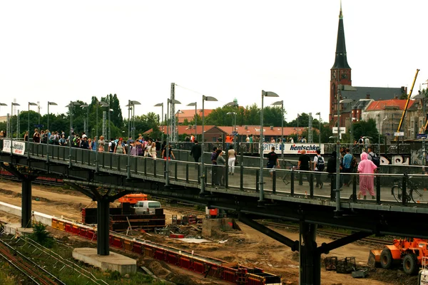 Rode roos konijn — Stockfoto