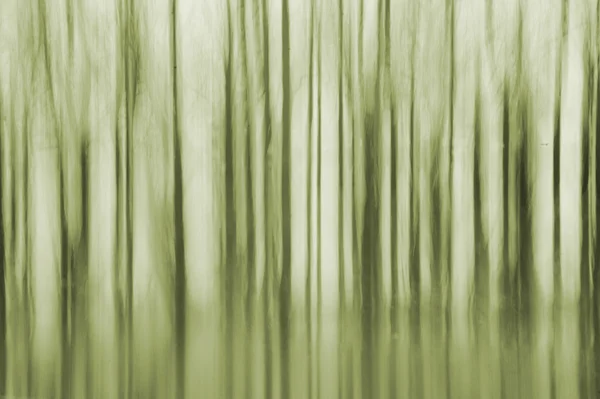 Bäume abstrakt — Stockfoto