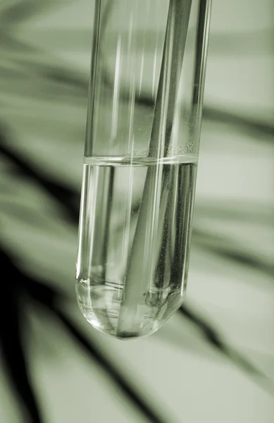 テスト チューブの花瓶 — ストック写真