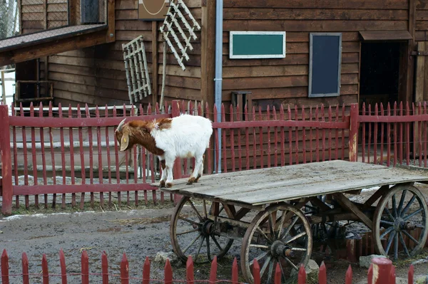 Gård — Stockfoto