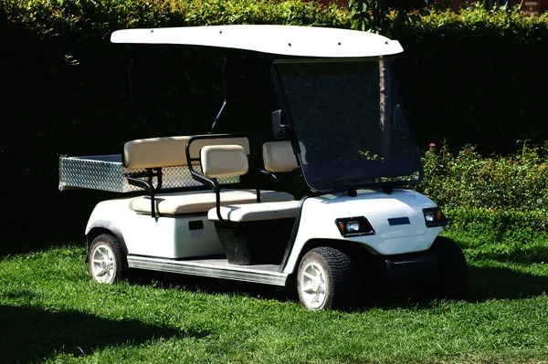 Buggy çayır üzerinde