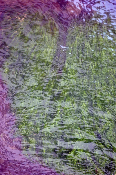 Trawa pod wodą kolorowy — Zdjęcie stockowe