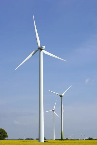 Wind turbines at the rape field — Stock Photo, Image