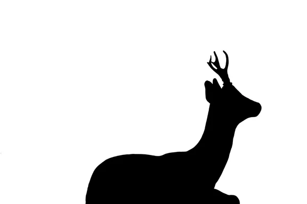 Deer outline — Stock Photo, Image