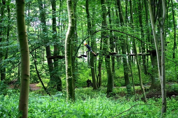 In the climbing forest — Stock Photo, Image