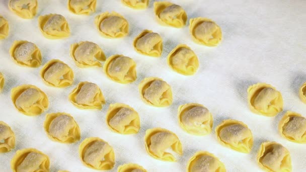 Filas de tortellini.mov italiano sin cocer — Vídeos de Stock