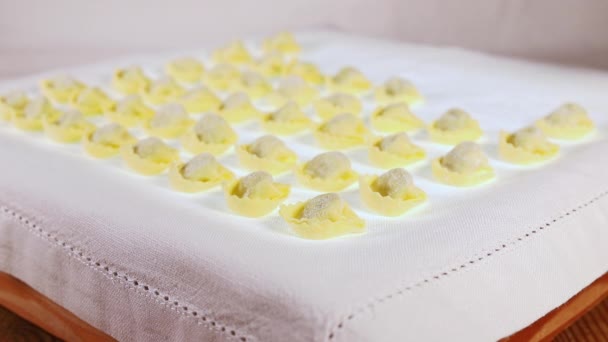 Tepelně neupravené italské tortellini v řadě.mov — Stock video