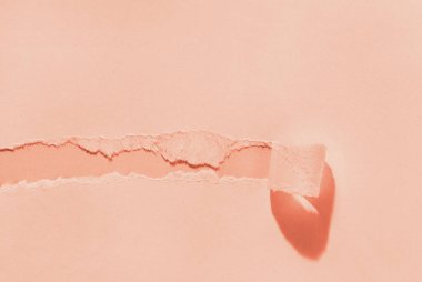 Mercan zemin üzerinde parçalanmış mercan kağıdı parçası 