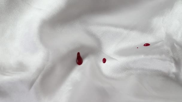 Bloeddruppels op witte doek.mov — Stockvideo