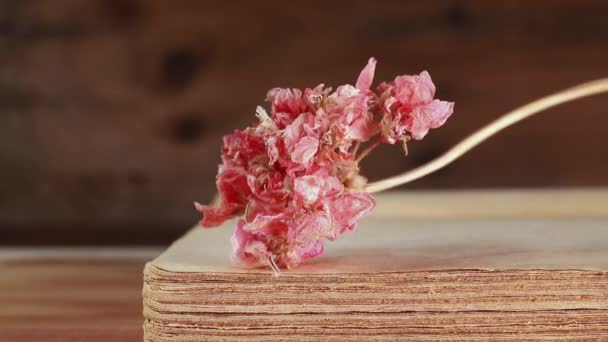 期末书 回忆和浪漫活动上的红花 — 图库视频影像