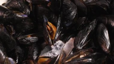 Cooking heap of mussels in pan , preparing healthy eating food