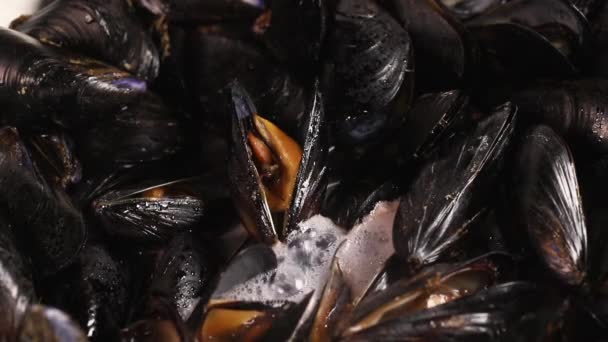 在锅里煮一堆贻贝 准备健康的食物 — 图库视频影像