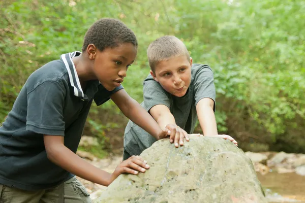 These boys are up to something! — Stock Photo, Image