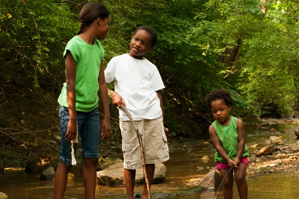 Siblings in the stream — Stock Photo, Image