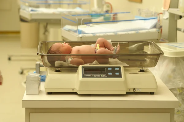 İlk ağırlık ölçümü.