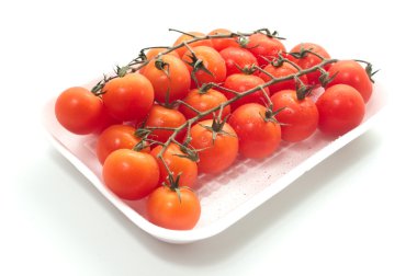 su damlaları ile asma üzerinde domates.