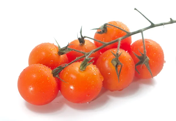 Wiśniowe pomidory na winorośli z kropli wody. — Zdjęcie stockowe