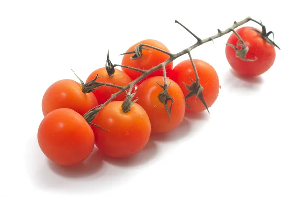 Wiśniowe pomidory na winorośli z kropli wody. — Zdjęcie stockowe