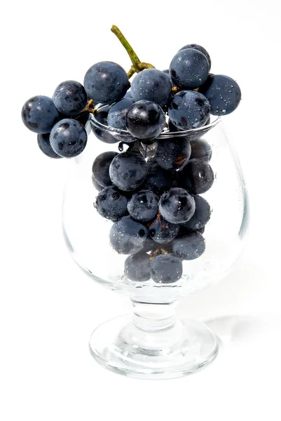 A shot of a bunch of black grapes. — Stock Photo, Image