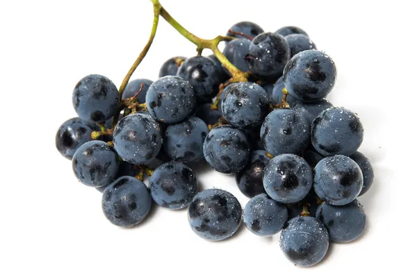 A shot of a bunch of black grapes. — Stock Photo, Image