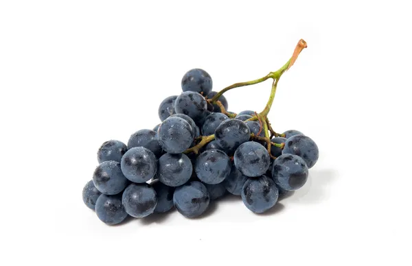 A shot of a bunch of black grapes. Stock Photo