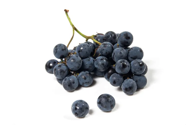 A shot of a bunch of black grapes. Stock Image
