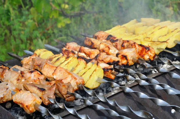 Kebab - Barbekü yemek — Stok fotoğraf