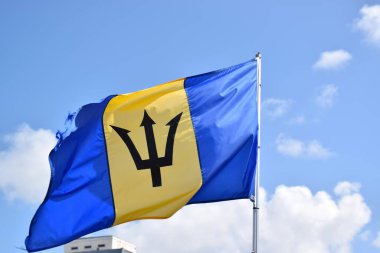 Barbados eyalet bayrağı rüzgarda hareket ediyor.